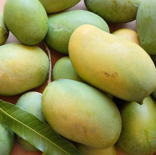 Premium,Organic-Fresh AMRAPALI Mangoes 10 KG